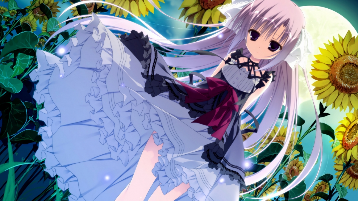 微电影:运动员背后的真实故事,运动员的vlog